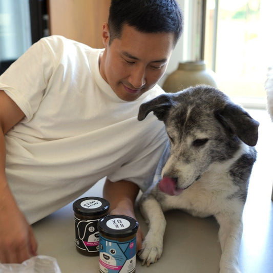 Bio Bellos & Miezis Knochenbrühe Rind im Glas – Junge