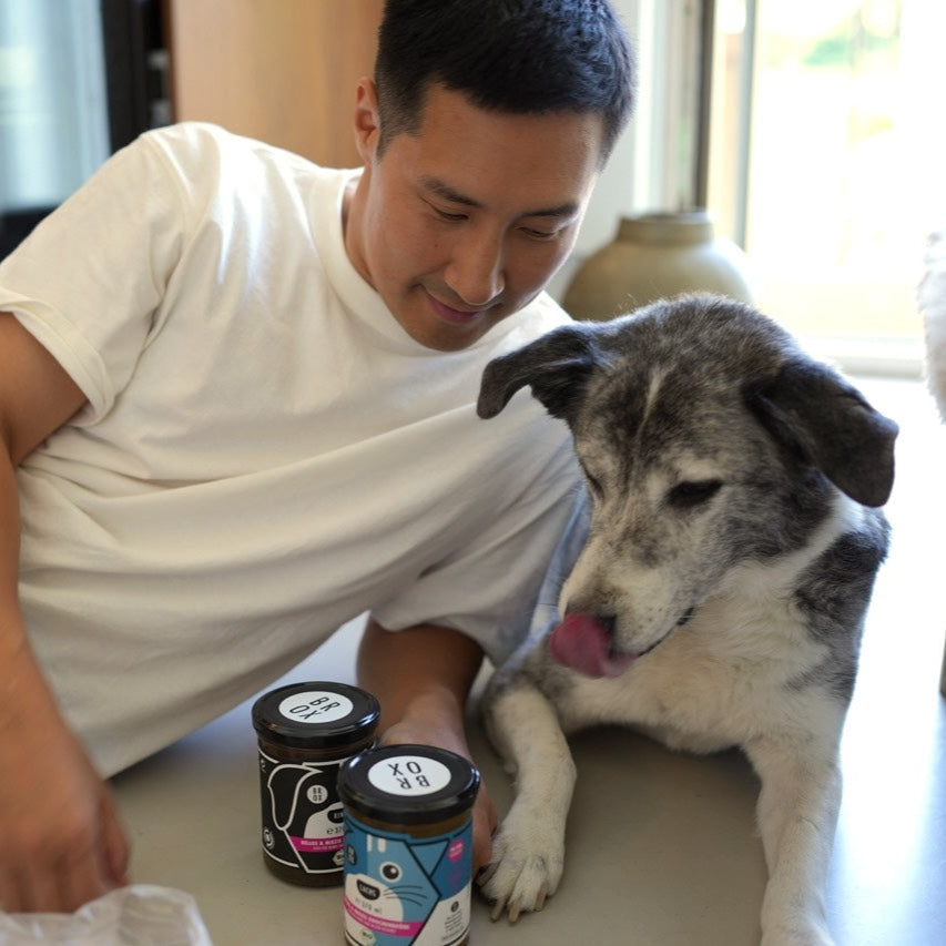 Miezis & Bellos Knochenbrühe Lachs