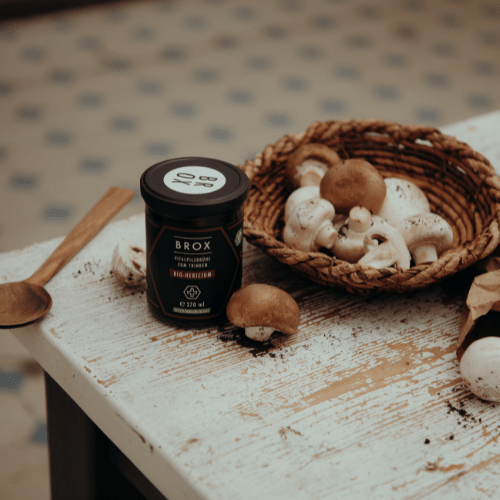 Kraftbrühe Vitalpilz