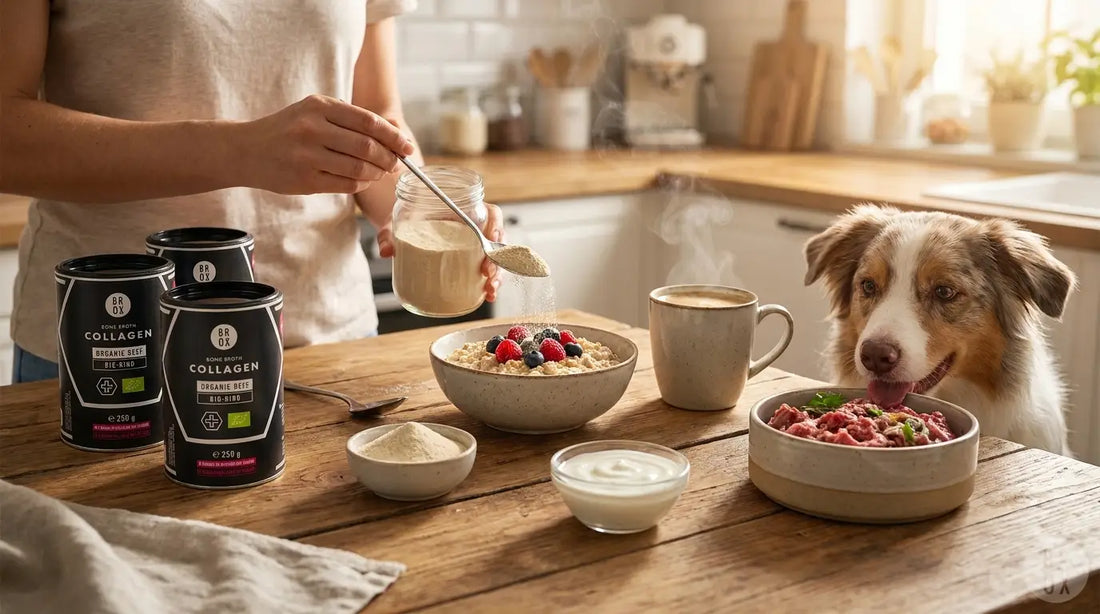 Kollagenpulver Bio Weiderind: 8g im Alltag nutzen