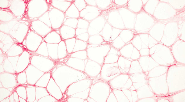 Glycin: Die 7 Wirkungen der kompakten Aminosäure