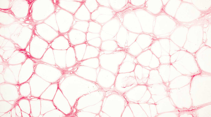 Glycin: Die 7 Wirkungen der kompakten Aminosäure