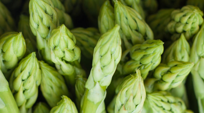 Ernährung: Alles über die sog. "Immunsystem Booster"