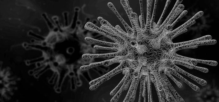 Unterstützt Knochenbrühe bei Autoimmunerkrankungen?