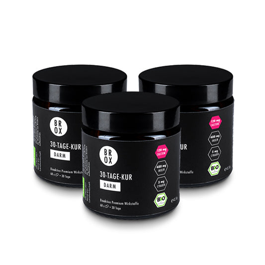 Bio 90-Tage-Kur Darm im Glas – Flaschen