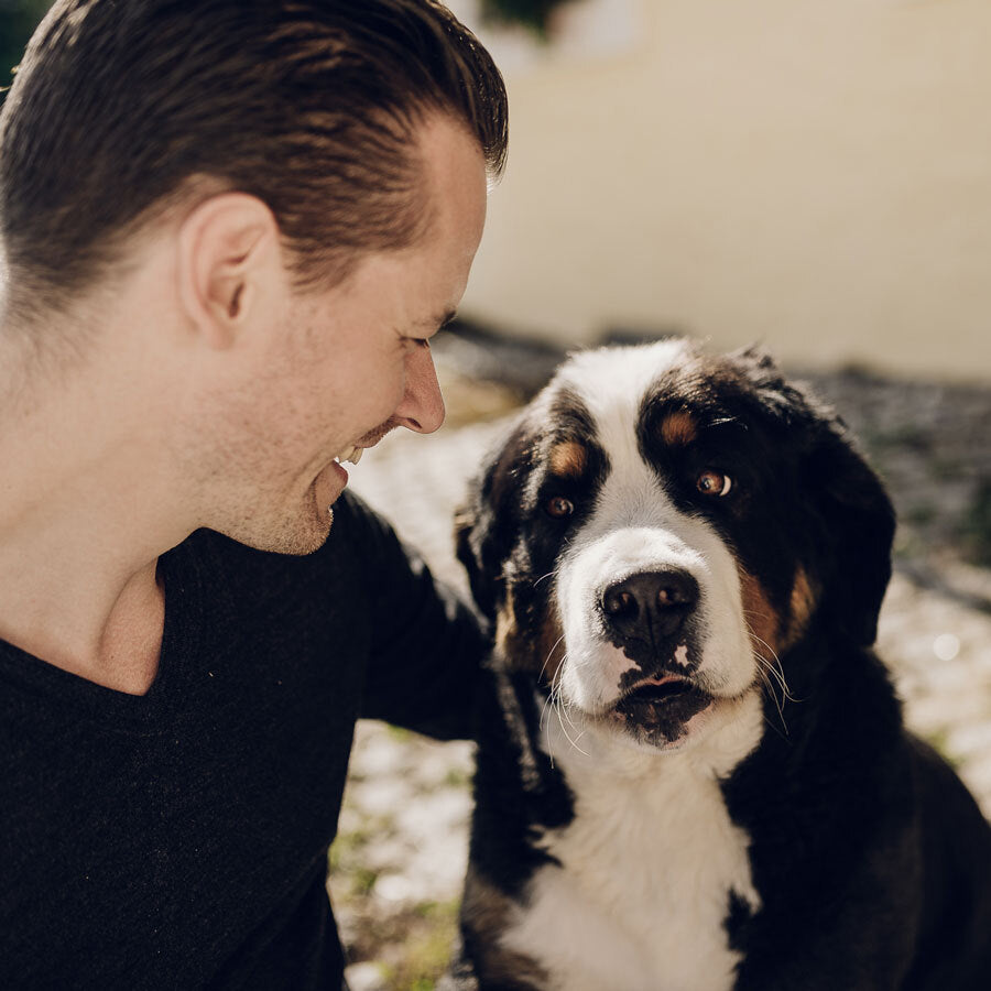 Bio Bellos & Miezis Knochenbrühe Rind im Glas – Hund