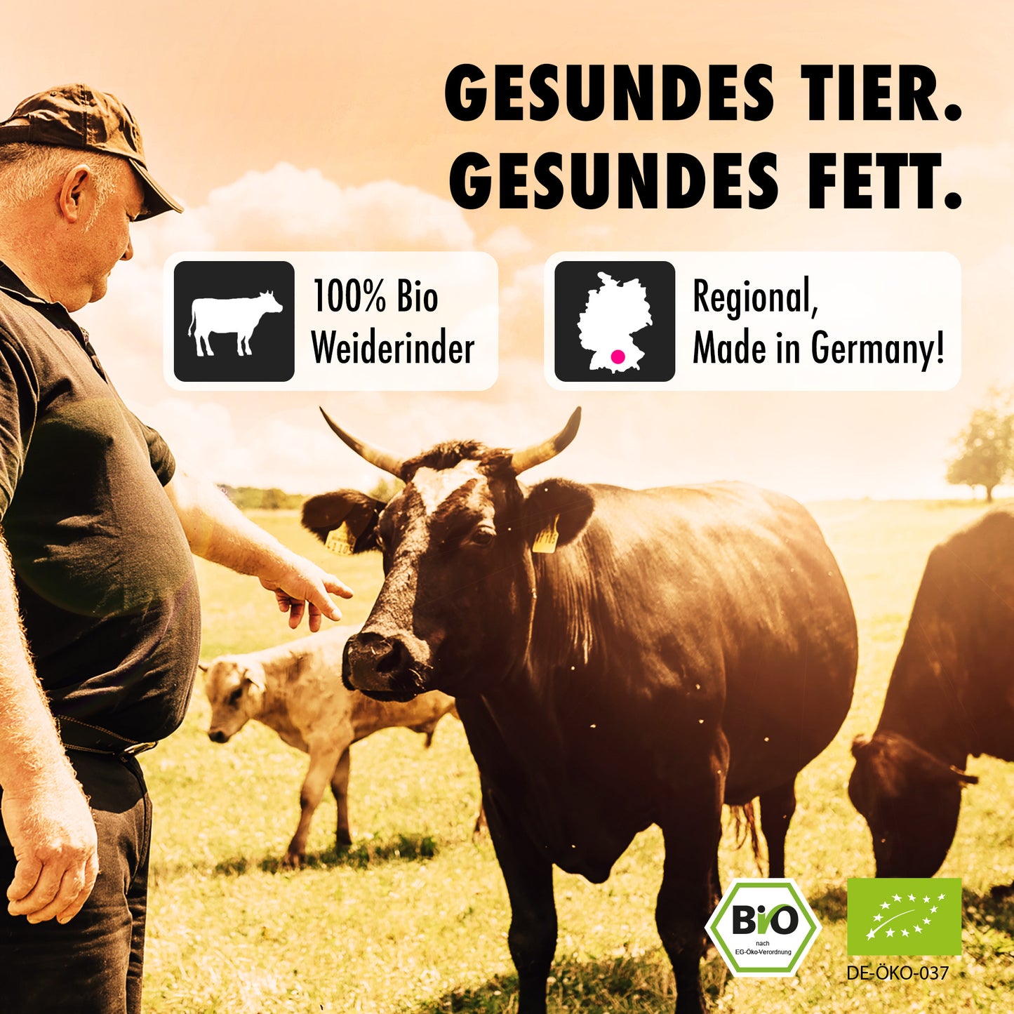Bio Bio-Rindertalg Weiderind im Glas – Kuh