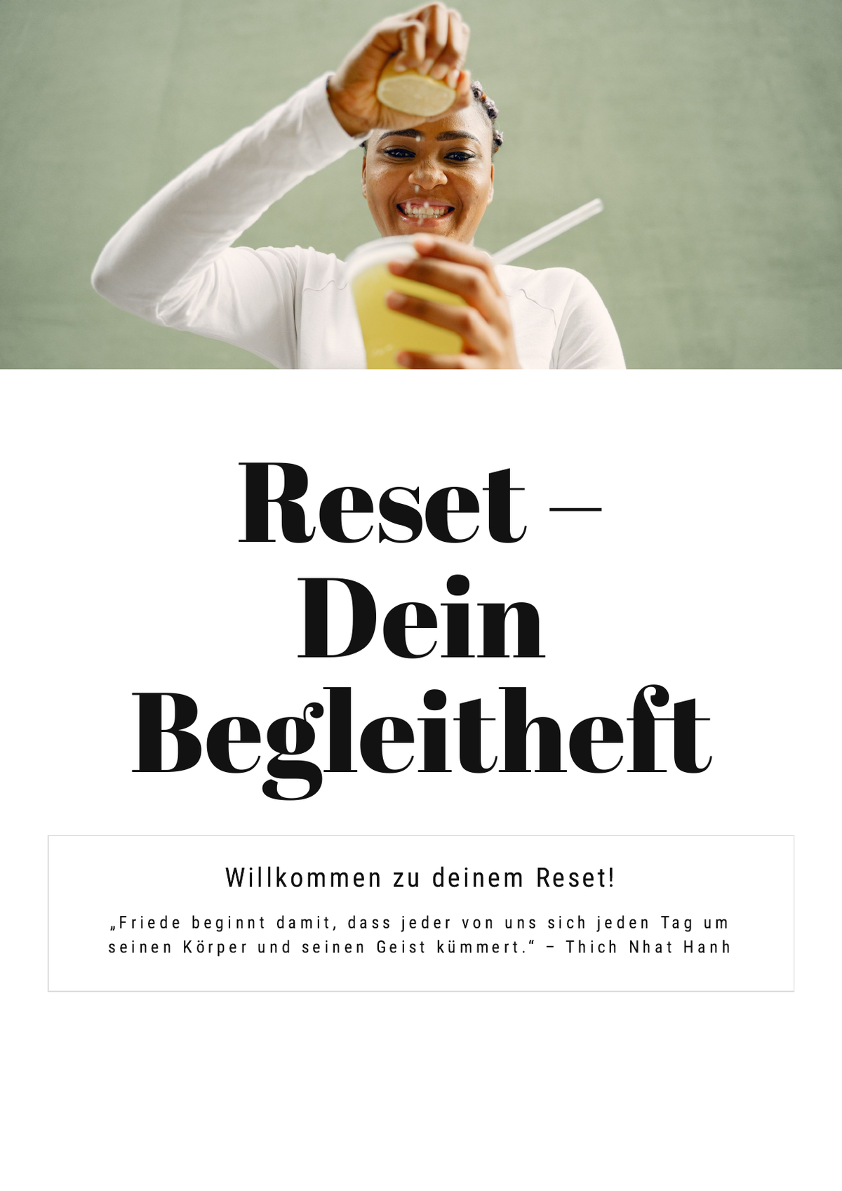 Reset-Begleitheft