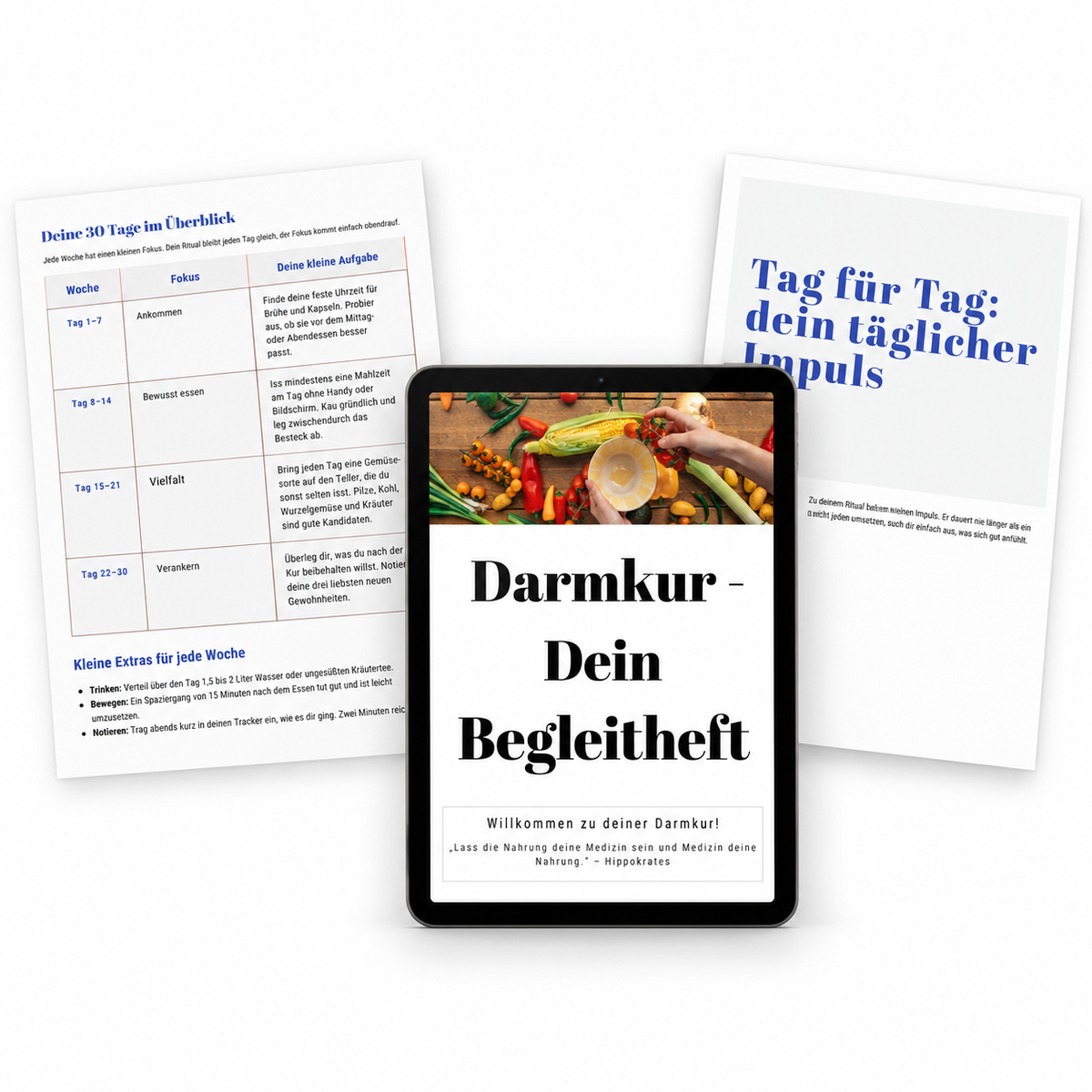 Darmkur-Paket