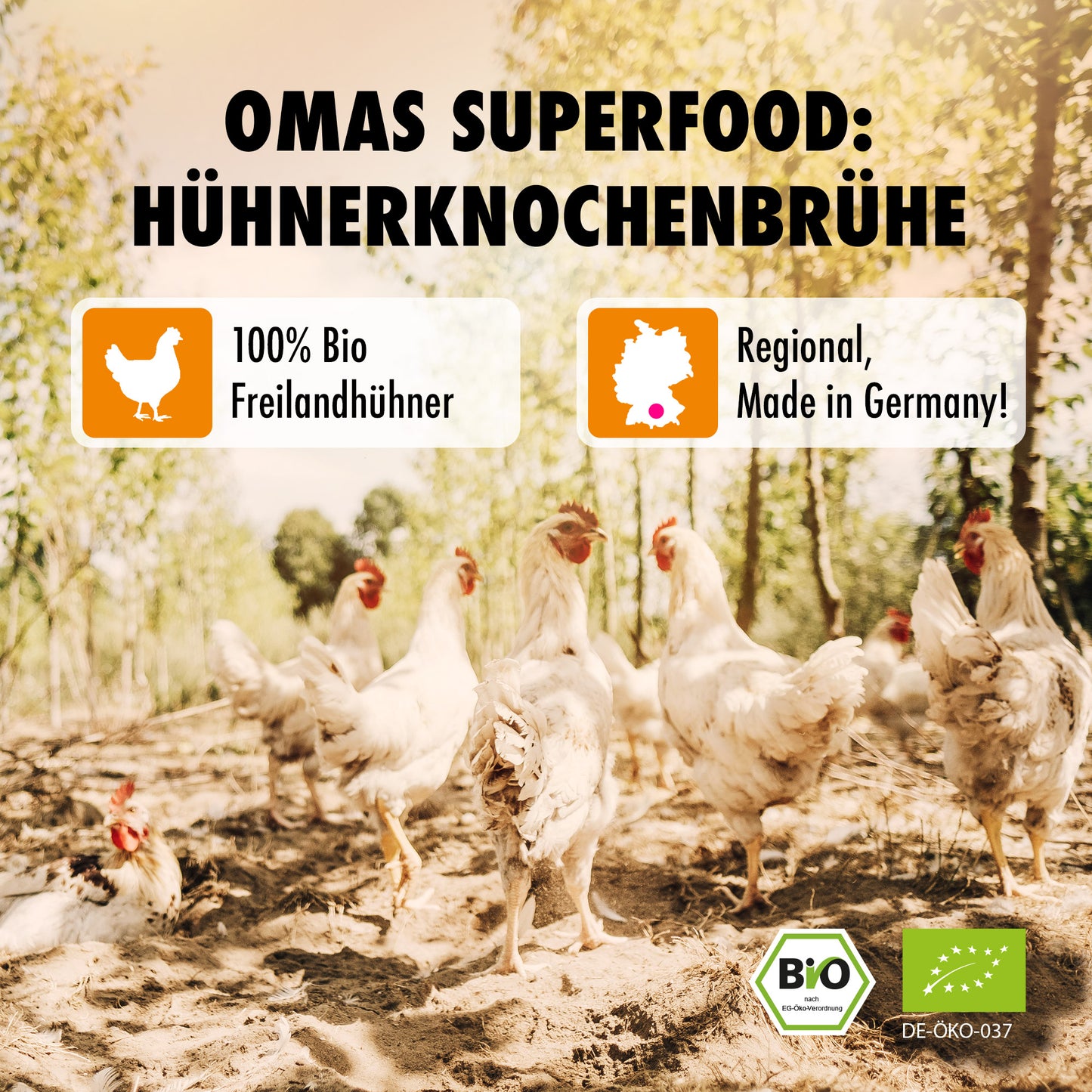 Bio Knochenbrühe klassik Huhn im Glas – Premium Freilandhuhner