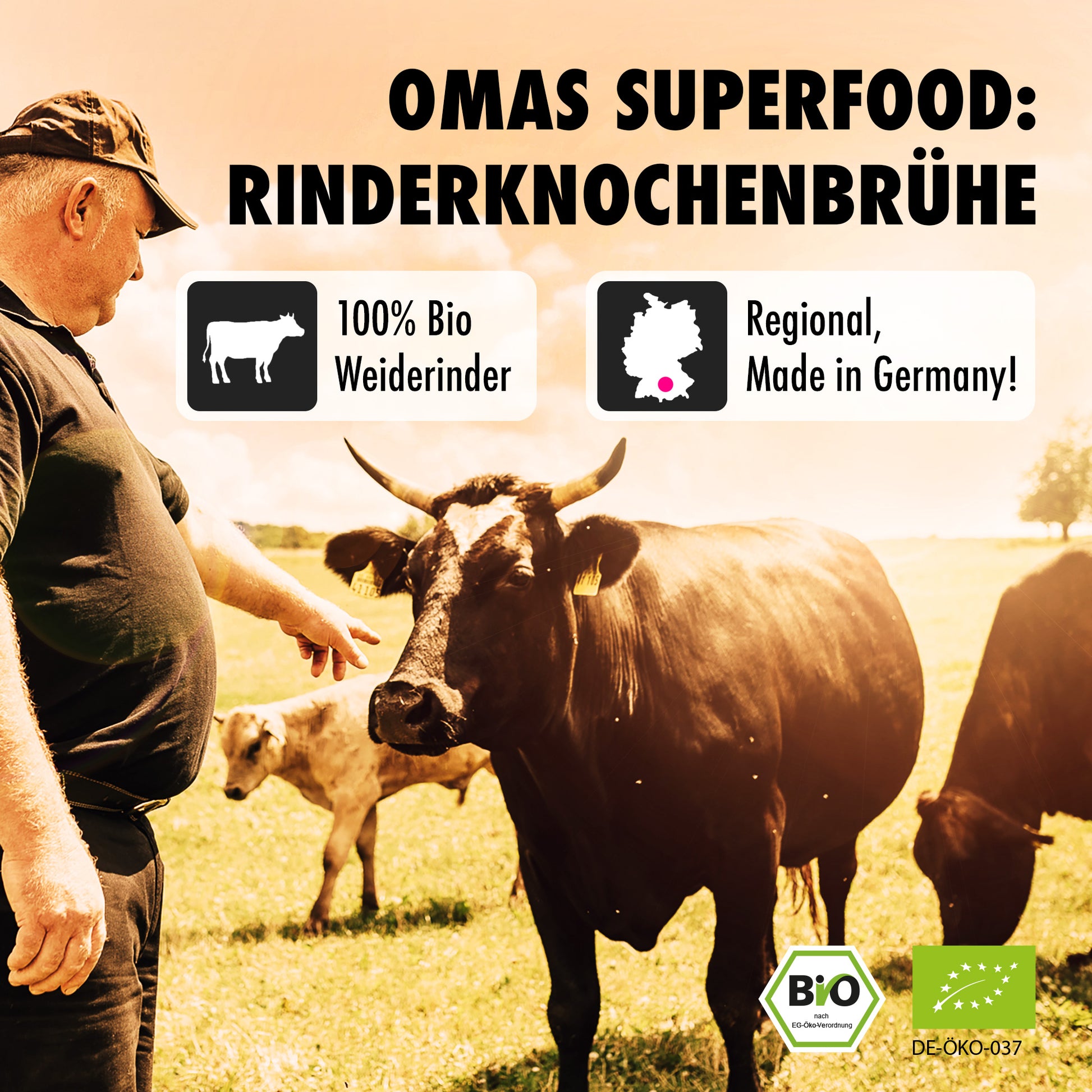Bio Knochenbrühe klassikRind im Glas – Premium Weiderinder