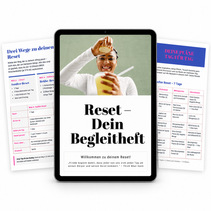 Reset-Begleitheft