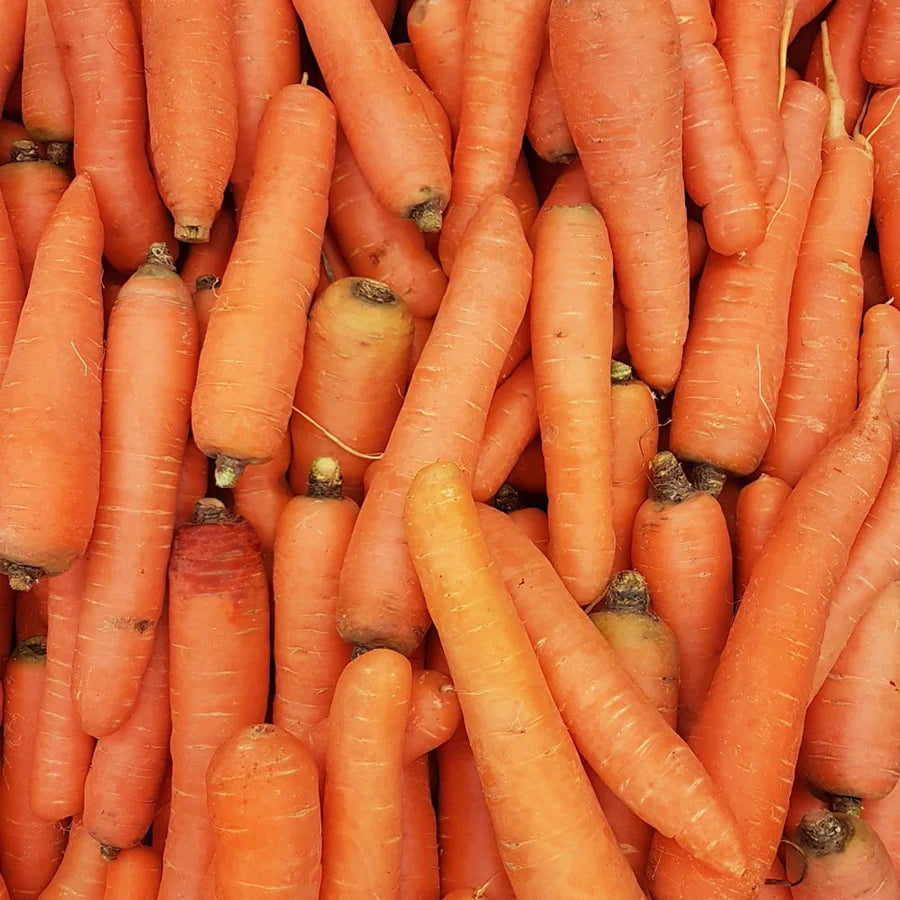 Karotten - Gesunde Inhaltsstoffe von Bone Brox